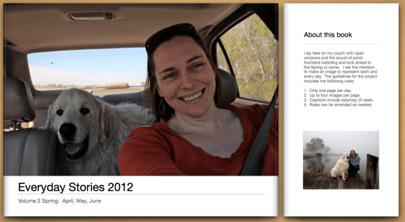 Screen Shot 2013-02-03 at 6.31.23 PM